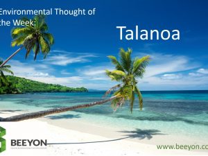 Environmental  Thought of the Week : Talanoa